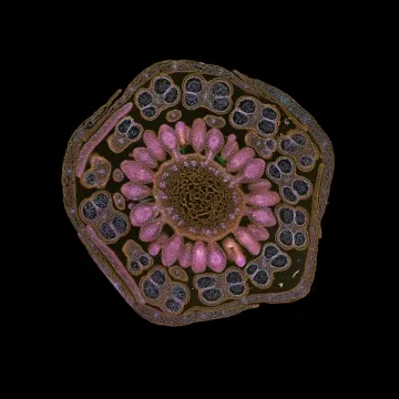 [KVIZ] Jesi li genijalac koji zna sve o stanicama?