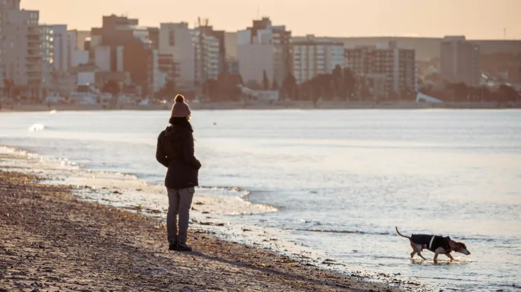 Neki psi trebaju nositi kaputiće po hladnoći: U ovim slučajevima krzno nije dovoljno
