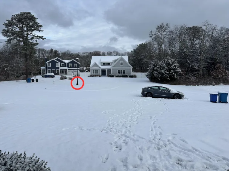 Ovdje se skriva psić, ali samo najpažljiviji ga mogu pronaći: Provjerite jeste li među njima