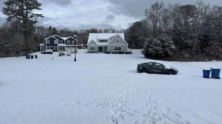 Ovdje se skriva psić, ali samo najpažljiviji ga mogu pronaći: Provjerite jeste li među njima
