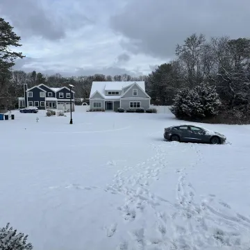 Ovdje se skriva psić, ali samo najpažljiviji ga mogu pronaći: Provjerite jeste li među njima