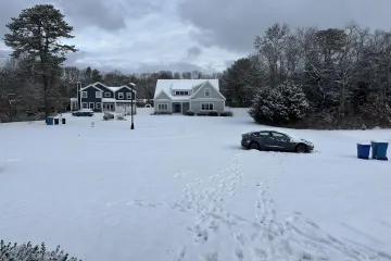 Ovdje se skriva psić, ali samo najpažljiviji ga mogu pronaći: Provjerite jeste li među njima