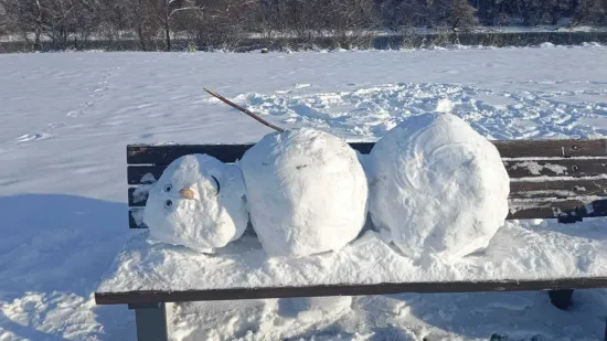 U jutarnjoj &scaron;etnji sunčanim Osijekom, prolaznici su imali priliku vidjeti pravo malo remek-djelo