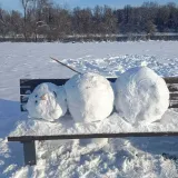 U jutarnjoj &scaron;etnji sunčanim Osijekom, prolaznici su imali priliku vidjeti pravo malo remek-djelo