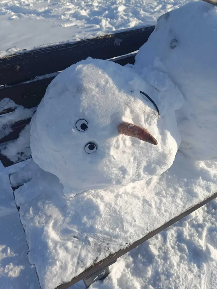 U jutarnjoj &scaron;etnji sunčanim Osijekom, prolaznici su imali priliku vidjeti pravo malo remek-djelo