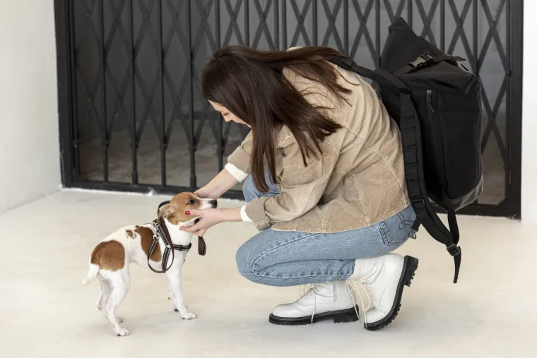 Kada napustite dom psi misle samo na jedno: Ovo su simptomi ozbiljnog problema, pazite na njih