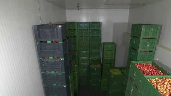 Ove komore usred zime čuvaju budućnost hrvatskih voćara, pogledajte priču iz hladnjače...