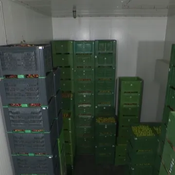 Ove komore usred zime čuvaju budućnost hrvatskih voćara, pogledajte priču iz hladnjače...