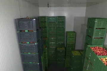 Ove komore usred zime čuvaju budućnost hrvatskih voćara, pogledajte priču iz hladnjače...