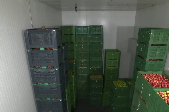 Ove komore usred zime čuvaju budućnost hrvatskih voćara, pogledajte priču iz hladnjače...