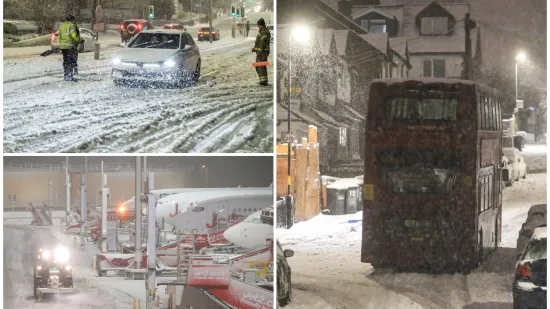 Pogodila ih je žestoka oluja: Sru&scaron;ena drveća i dalekovodi, ljudi bez struje...