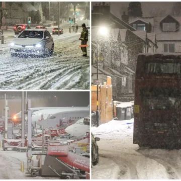Pogodila ih je žestoka oluja: Sru&scaron;ena drveća i dalekovodi, ljudi bez struje...