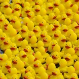 Prije 34 godine nesreća je poslala tisuće patkica oko svijeta: Nevjerojatno gdje su zavr&scaron;ile