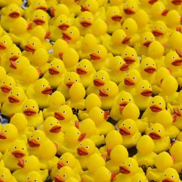 Prije 34 godine nesreća je poslala tisuće patkica oko svijeta: Nevjerojatno gdje su zavr&scaron;ile