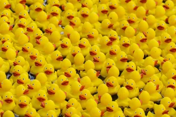 Prije 34 godine nesreća je poslala tisuće patkica oko svijeta: Nevjerojatno gdje su zavr&scaron;ile