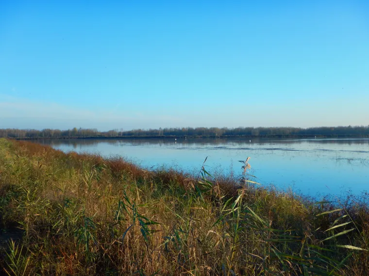 Akvakultura kao održiva alternativa pritisku na prirodne resurse mora