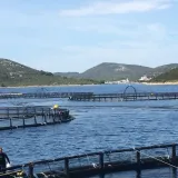 Akvakultura kao održiva alternativa pritisku na prirodne resurse mora