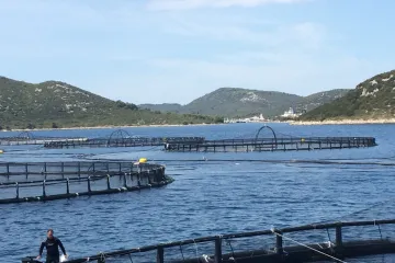 Akvakultura kao održiva alternativa pritisku na prirodne resurse mora