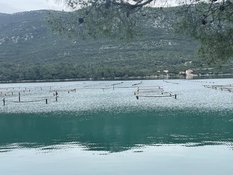 Akvakultura kao održiva alternativa pritisku na prirodne resurse mora