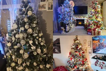 Imamo pobjednike natječaja! Ovo su tri najljep&scaron;e jelke po izboru na&scaron;eg božićnog žirija