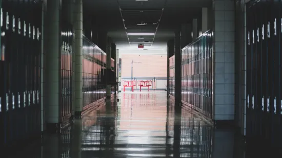 Učenica progovorila o napadu u &scaron;koli: 'Odjekivali su krikovi kao iz horor-filma'