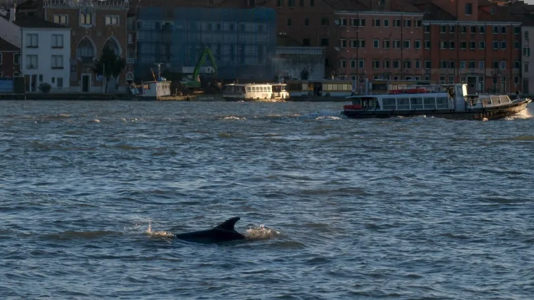 Talijani na Jadranu povukli potez zbog kojeg vi&scaron;e nema međunarodnih voda
