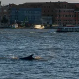 Talijani na Jadranu povukli potez zbog kojeg vi&scaron;e nema međunarodnih voda