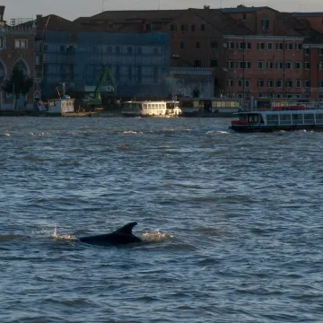 Talijani na Jadranu povukli potez zbog kojeg vi&scaron;e nema međunarodnih voda