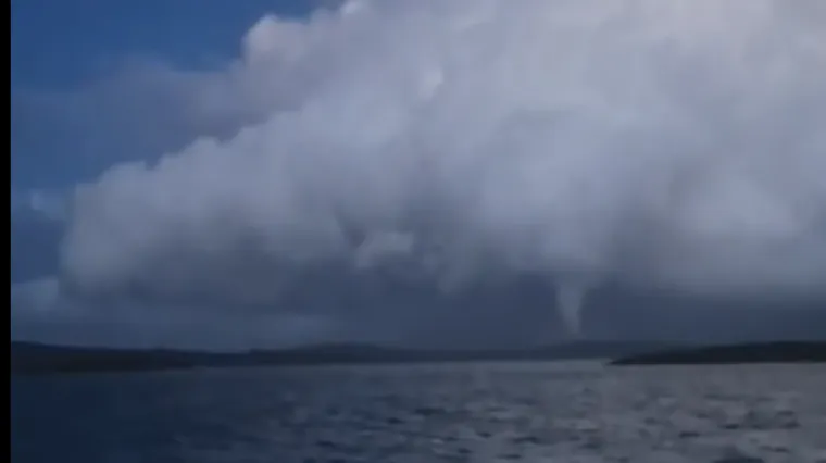 Pogled koji ledi krv u žilama: Kod Petrčana snimljena golema pijavica, pogledajte video
