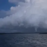 Pogled koji ledi krv u žilama: Kod Petrčana snimljena golema pijavica, pogledajte video
