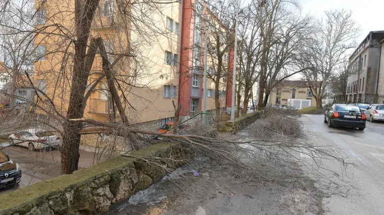 Odgađa se nastava u ovom hrvatskom gradu! Neki i peti dan nemaju struje, naokolo sru&scaron;ena stabla