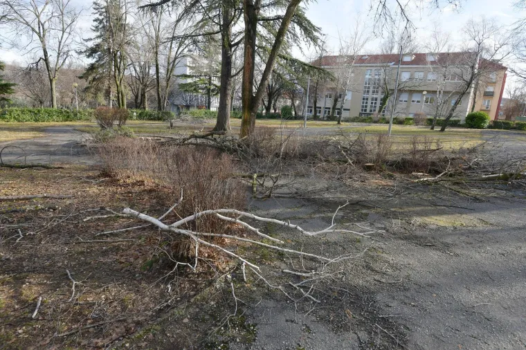 Odgađa se nastava u ovom hrvatskom gradu! Neki i peti dan nemaju struje, naokolo sru&scaron;ena stabla