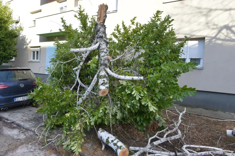 Odgađa se nastava u ovom hrvatskom gradu! Neki i peti dan nemaju struje, naokolo sru&scaron;ena stabla