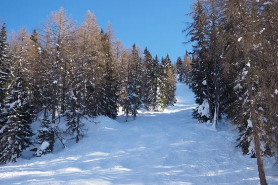 Zbog previ&scaron;e snijega otkazan super veleslalom