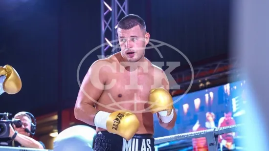 Milas nokautom do pojasa i 'boksačke Lige prvaka'