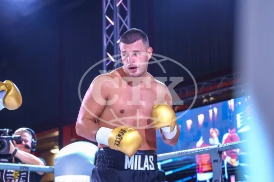 Milas nokautom do pojasa i 'boksačke Lige prvaka'