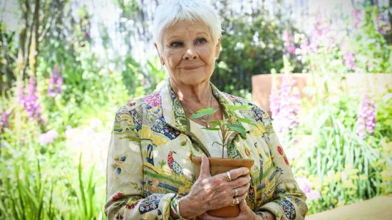 [KVIZ] Jeste li pravi poznavatelj velikih glumačkih diva starijih od 70 godina?