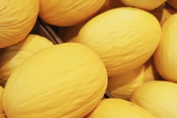 [KVIZ] Samo će najveći ljubitelji voća i povrća prepoznati ovo žute boje