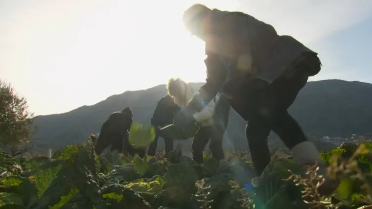 Sve je poplavljeno, trud im doslovno pao u vodu. A rje&scaron;enje je daleko: 'Nikad kraj s krajem'