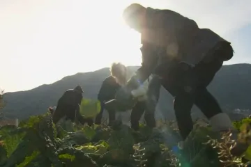 Sve je poplavljeno, trud im doslovno pao u vodu. A rje&scaron;enje je daleko: 'Nikad kraj s krajem'