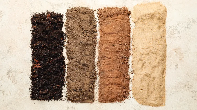 [KVIZ] Jeste li stručnjak o vrstama tla?