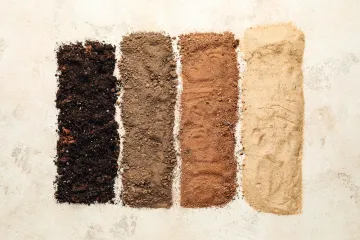 [KVIZ] Jeste li stručnjak o vrstama tla?