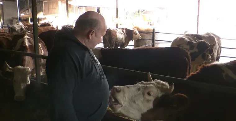 Dramatično upozorenje mljekara: 'Voda je debelo do&scaron;la i do u&scaron;iju i do nosa&rsquo;