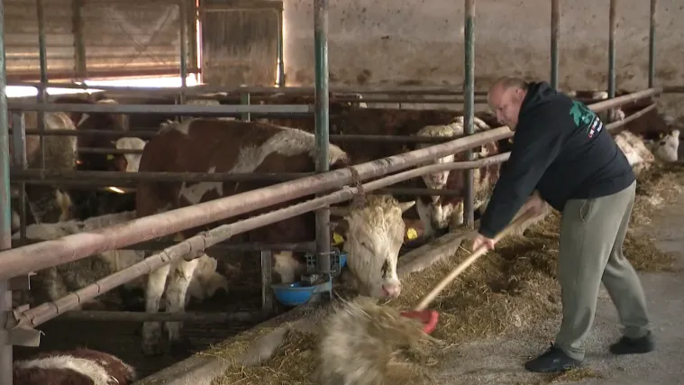 Dramatično upozorenje mljekara: 'Voda je debelo do&scaron;la i do u&scaron;iju i do nosa&rsquo;