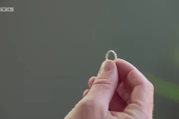 'Brak na prvu' Australija: ljubav, skandali i prvi gay par u povijesti showa