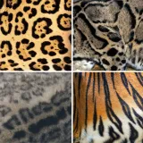 Samo najveći obožavatelji mačaka mogu ih prepoznati po uzorku krzna: Jeste li među njima?