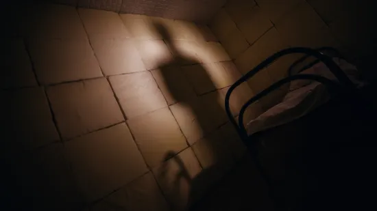 Na psihijatriji silovali ženu koja se identificira kao mu&scaron;karac: 'Nema Adamovu jabučicu!'