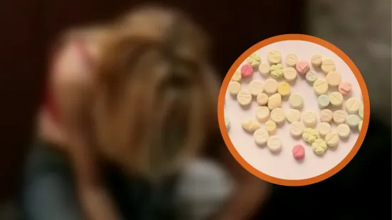 Nove smrtonosne opasnosti preplavile su Hrvatsku! Tri klika i igra smrti počinje...