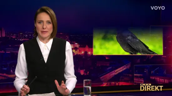 Eksperiment izuo Mojmiru iz cipela, na ono &scaron;to rade vrane samo je rekla: Moolim?!