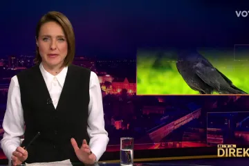 Eksperiment izuo Mojmiru iz cipela, na ono &scaron;to rade vrane samo je rekla: Moolim?!